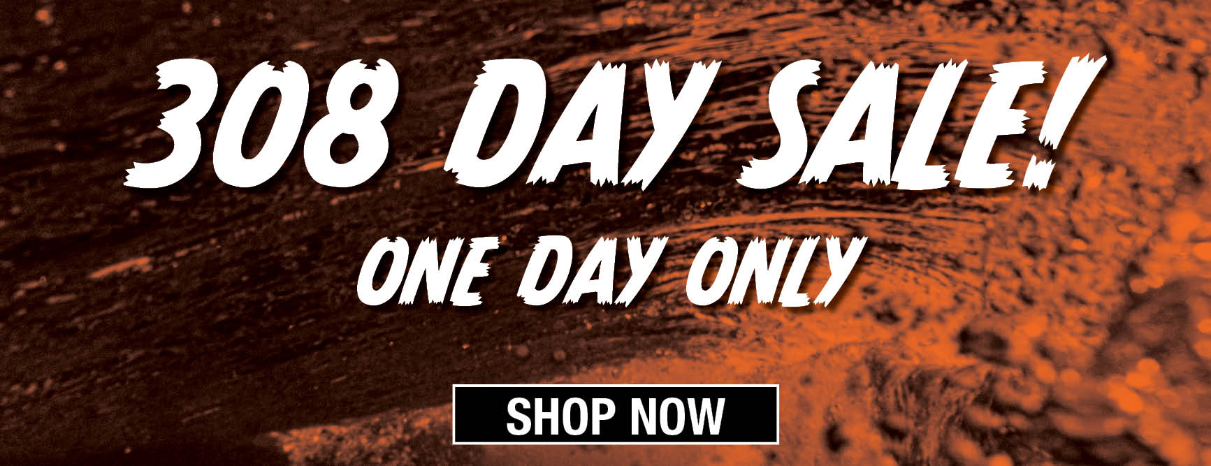 308 Day Sale